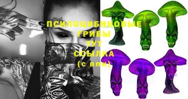 ECSTASY Алзамай
