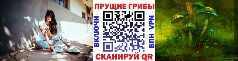 Псилоцибиновые грибы мицелий площадка формула Богородицк цена наркотик