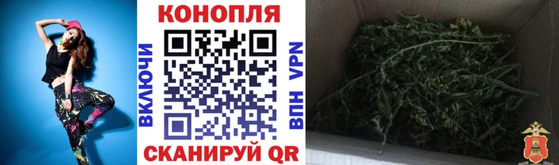 Бошки Шишки SATIVA & INDICA купить закладку MEGA рабочий сайт Богородицк
