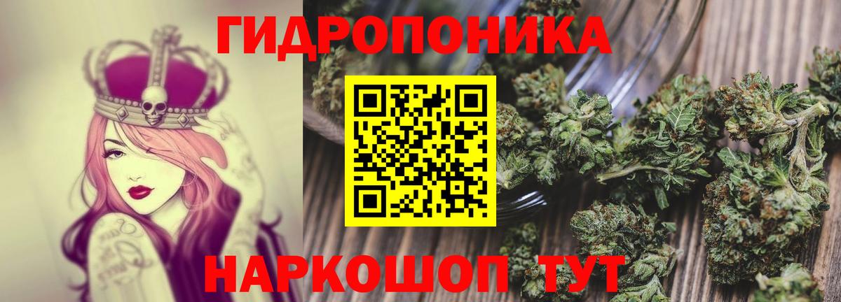 Богородицк  Бошки марихуана план  Марихуана ГИДРОПОН  Канабис гибрид  Вход с VPN 